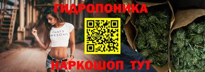 дурь Можга