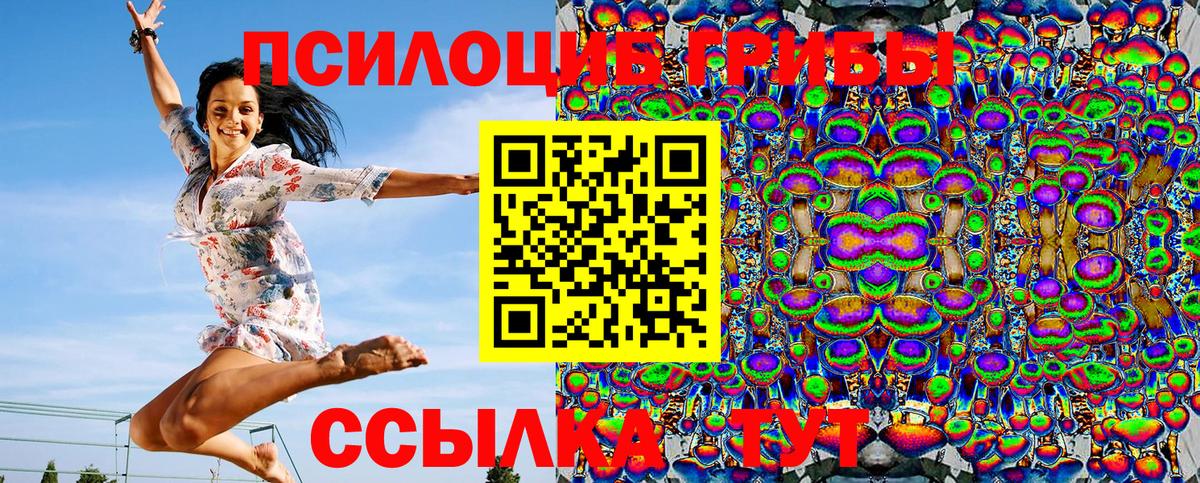 Галлюциногенные грибы прущие грибы  Вход с VPN  Чернушка 